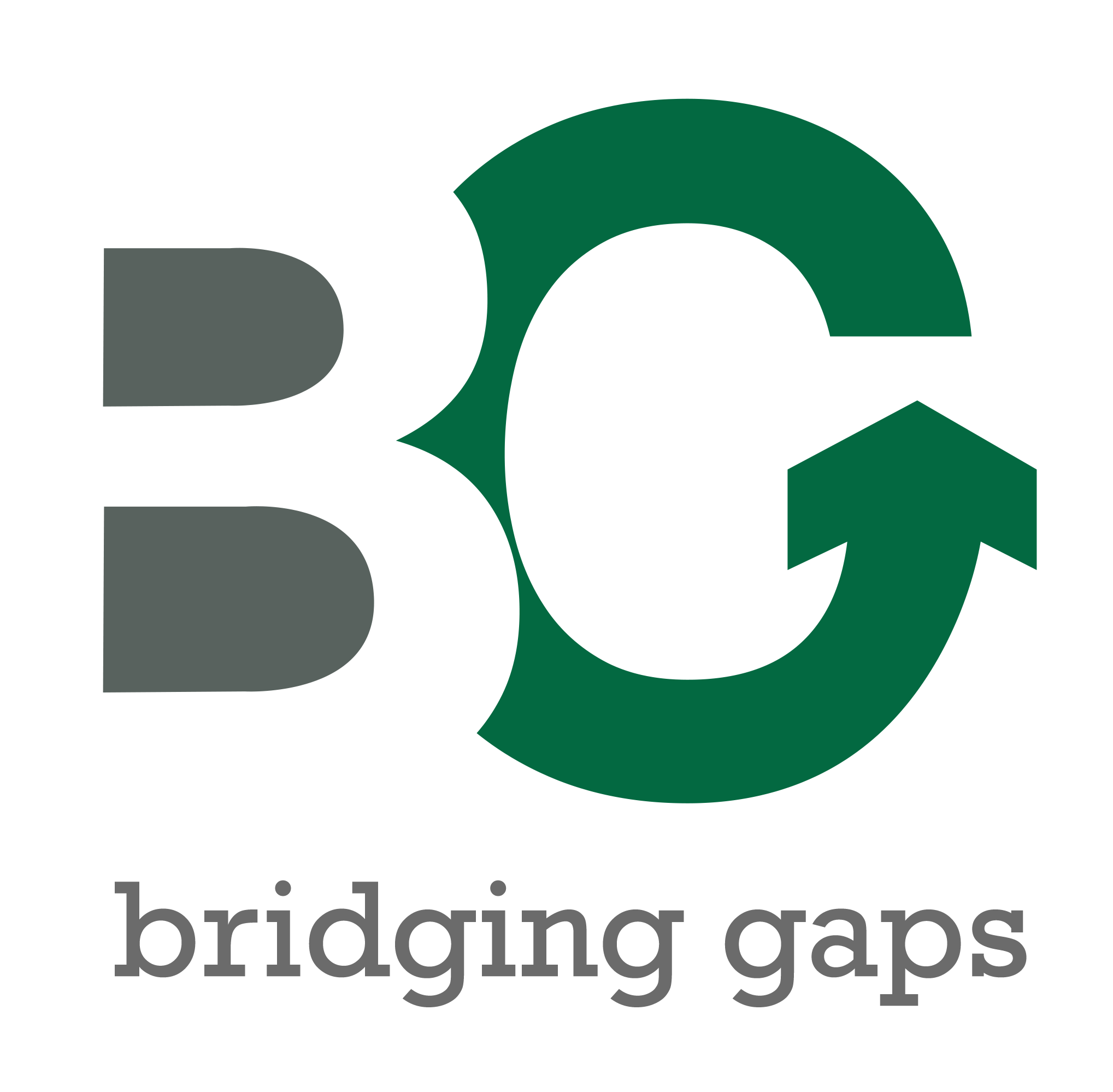 Home - Bridging Gaps